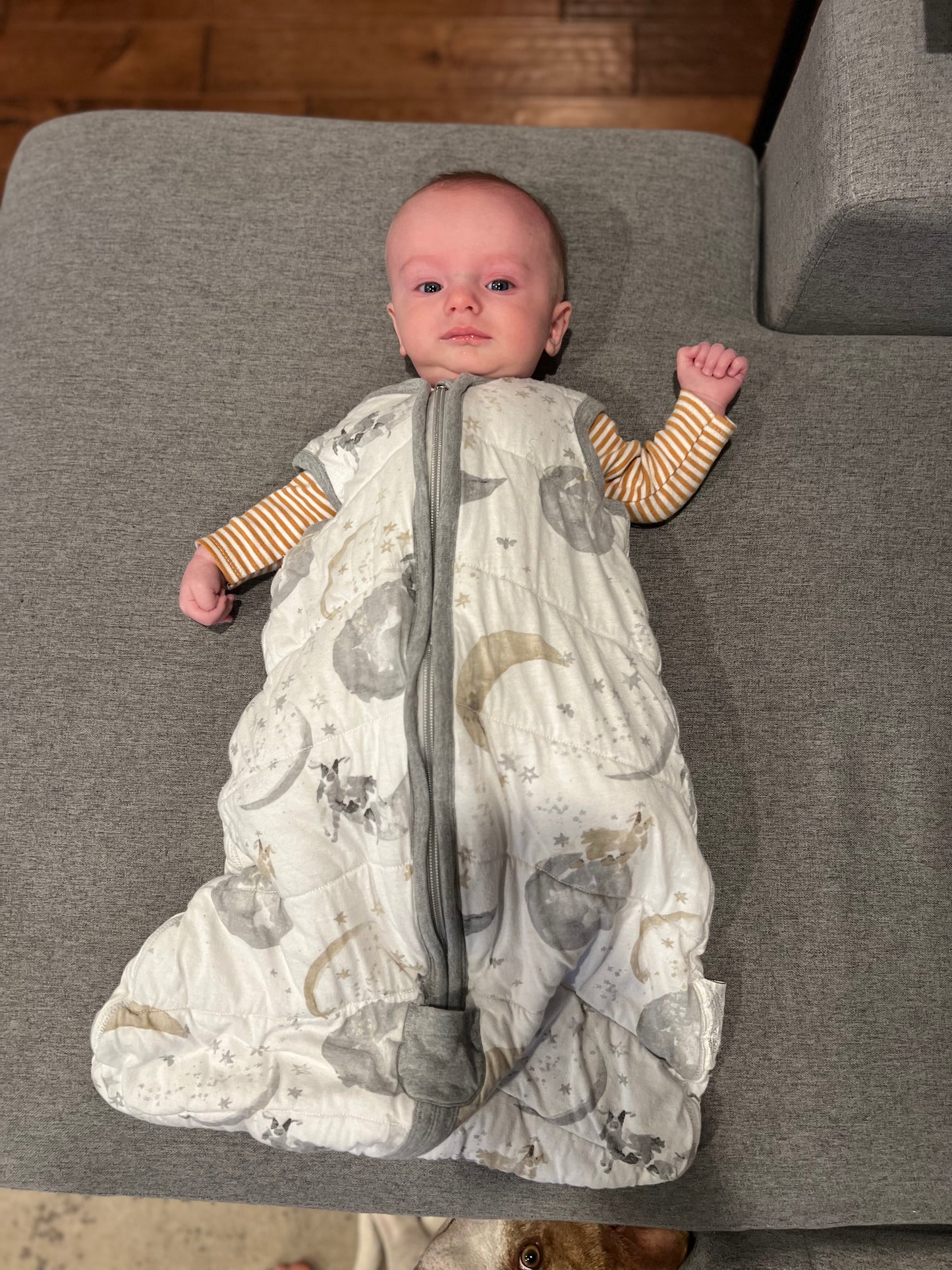 Burt’s Bees Sleep Sack 0-6M