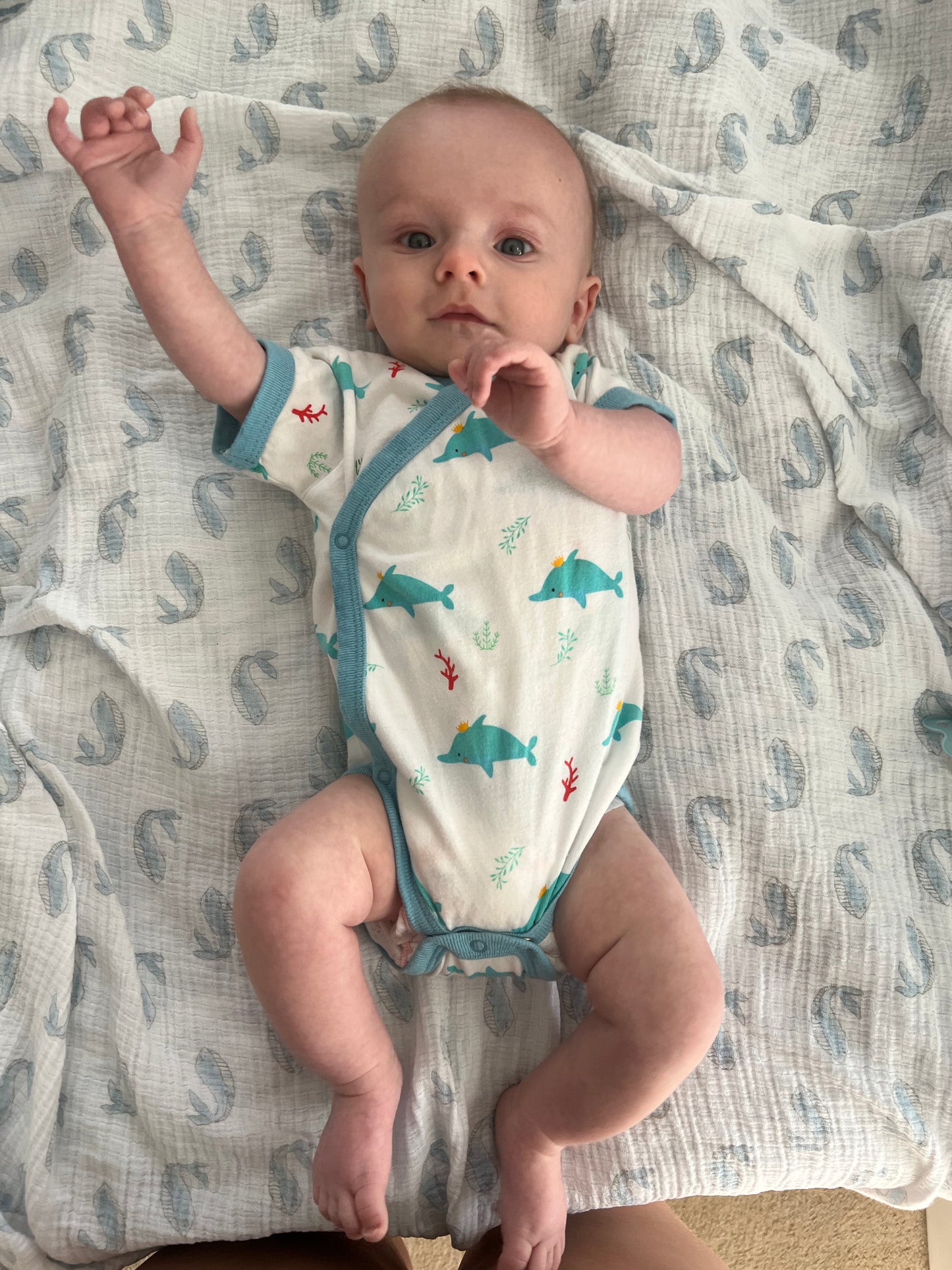 Babysoy Onesie 3-6M
